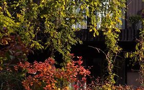 Hotel Indigo Vienna - Naschmarkt By Ihg